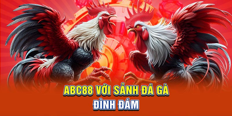 ABC88 với sảnh đá gà đình đám